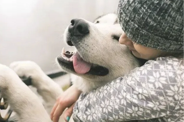 Research Reveals: Owning Pets Can Aid in the Recovery from Depression